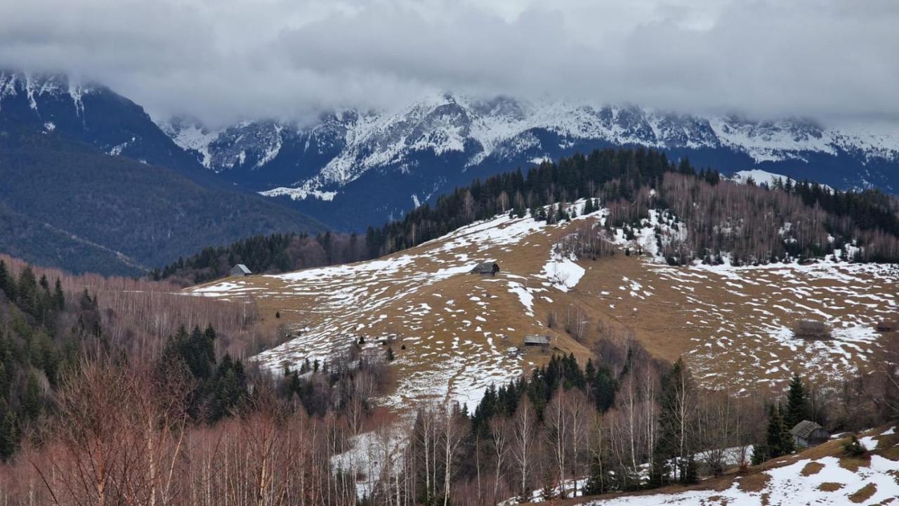 Pensiunea Brian Moieciu de Jos Exteriér fotografie